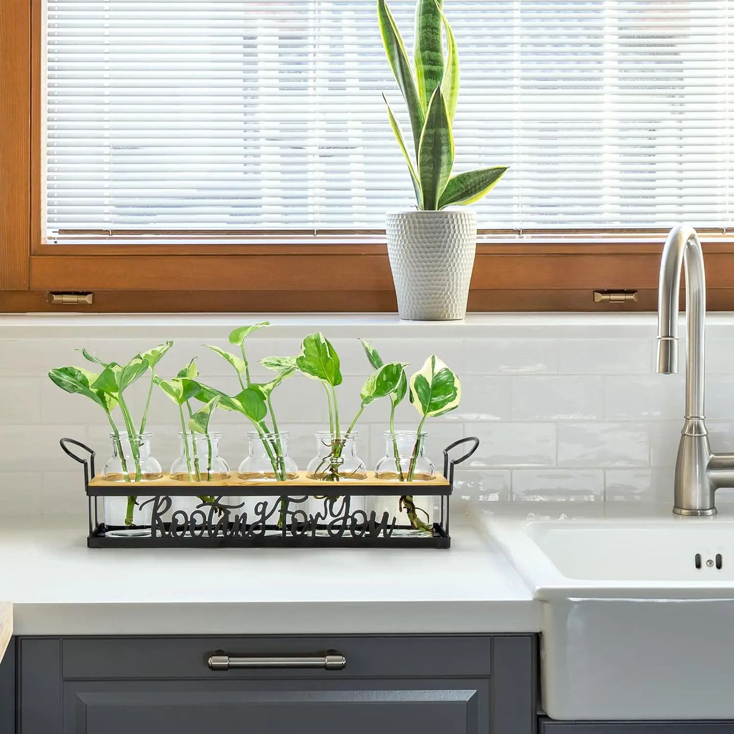 Hot Sell Hydroponic Propagation Vase Jars Terrarium Station for Plant Rooting Christmas Gifts Planter Pot