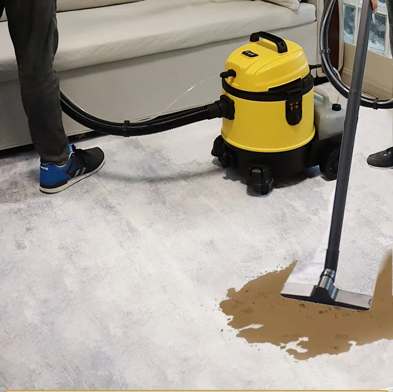 Пылесос для мытья ковров EAKO по лучшей конкурентоспособной цене