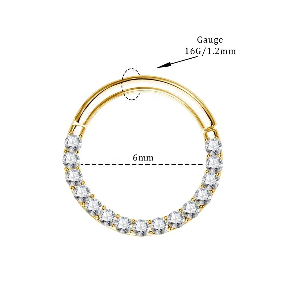 PVD Gold 316L Stainless Steel Gems Front CZ Clicker Segment Ring Body Piercing Jewelry