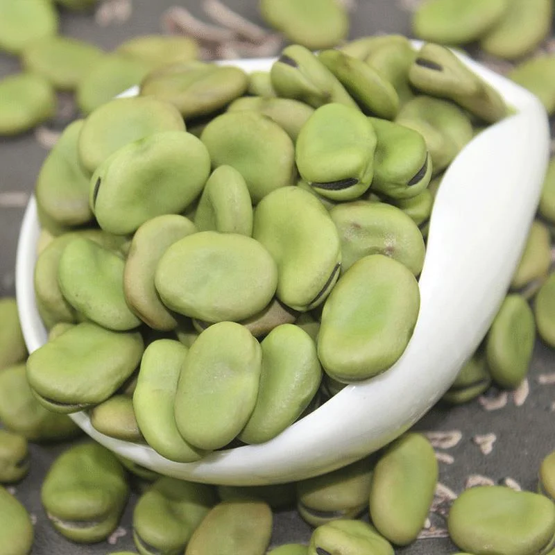 Дешевая коричневая и зеленая фасоль, очищенные бобы для экспорта