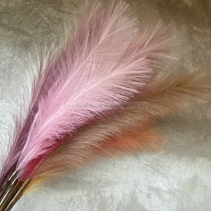 Wedding catkin peacock grass road lead decorative reed false feather