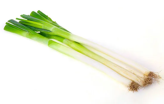 Предотвратить болезни уникальные продукты сельскохозяйственные удобрения важные функции для китайской капусты чеснока