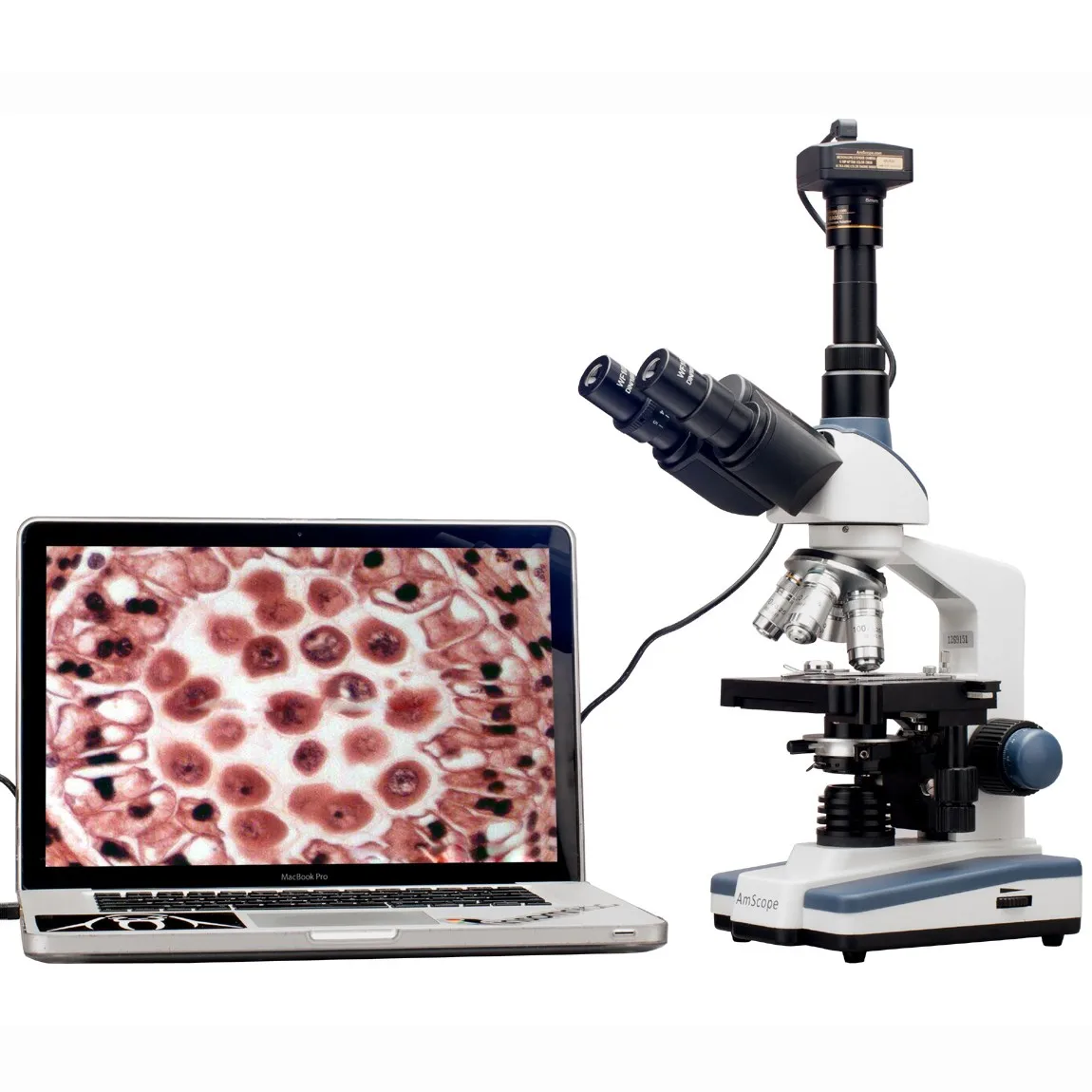 AmScope 2000X LED Lab Trinocular Compound Microscope with 3D Mechanical Stage + 5MP Camera