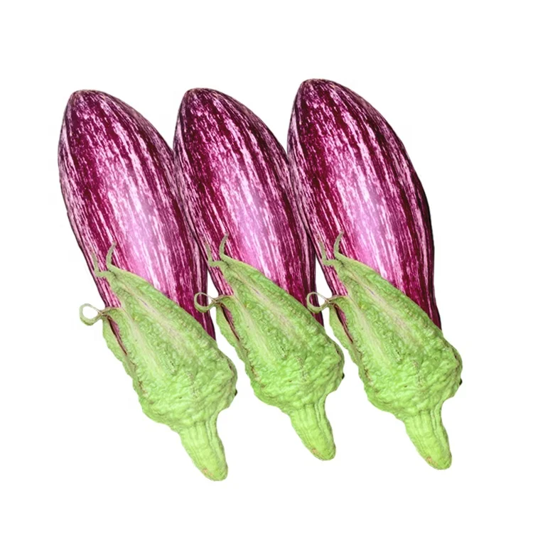 
2021 hot sale vegetable seeds round eggplant seed planting 