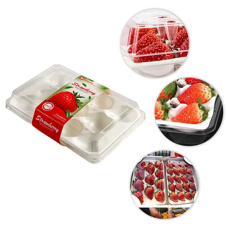 Customized food grade disposable plastic plastic pet packaging tray for strawberry containers with lids