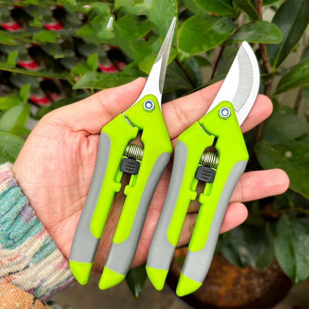 Gardening Pruning &  Fruit Scissors  Grape Picking sharp-tongued Shears Fruit Scissors