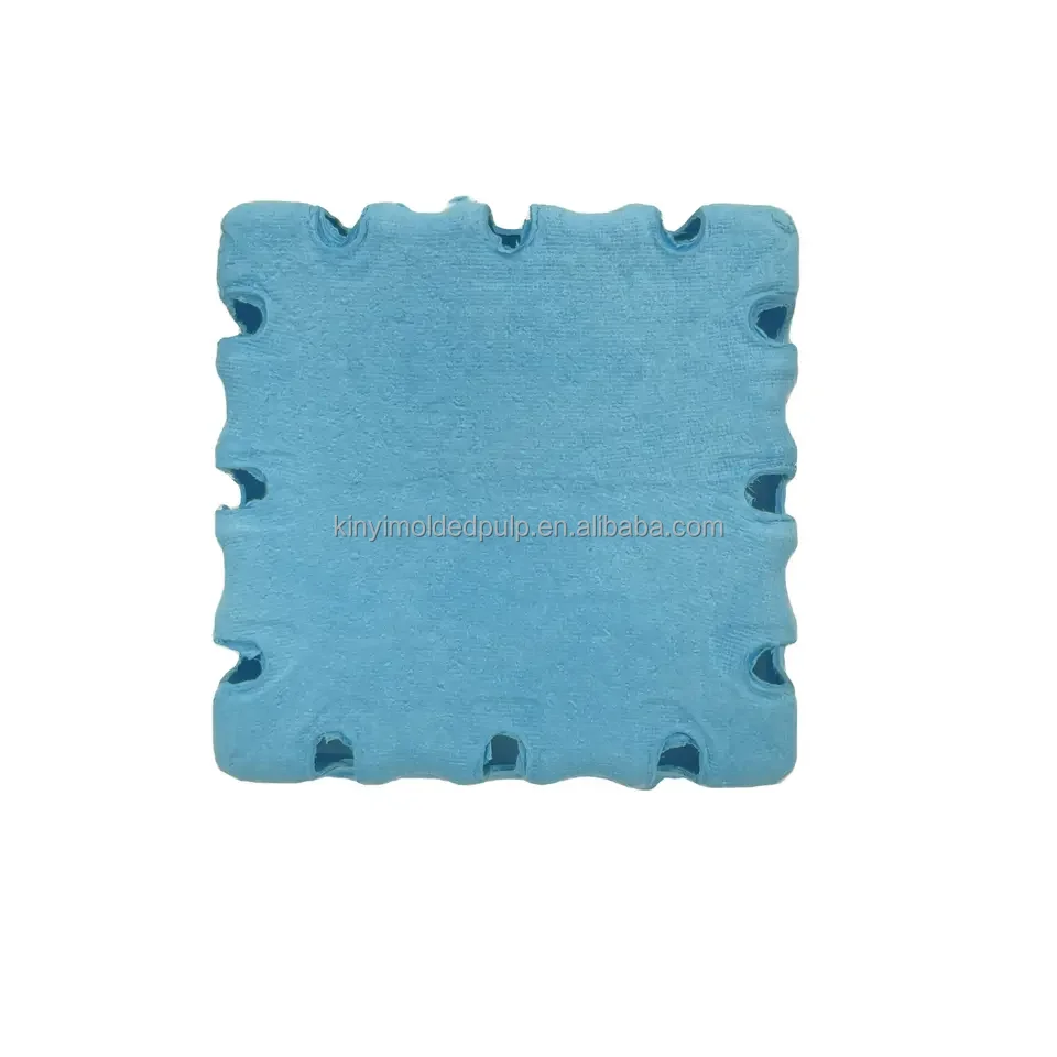 Customized Biodegradable Compostable Fruit Vegetable Tray Sugarcane Bagasse Tray