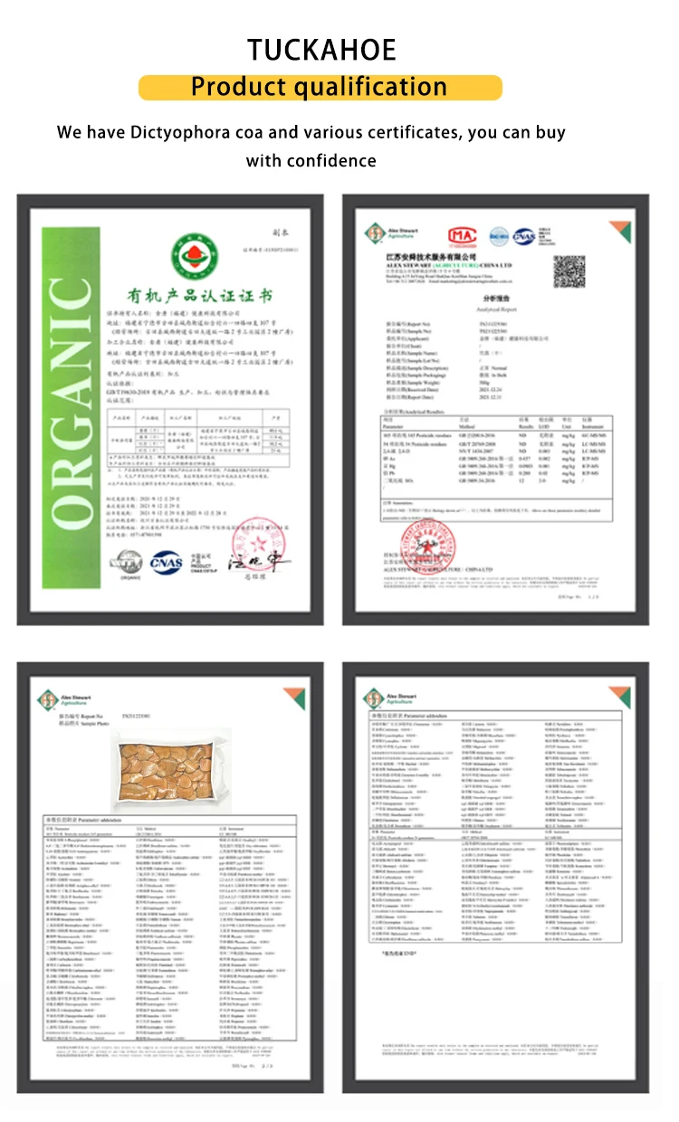 Wholesale High Quality Chinese Traditional Herbal Medicine Poria Cocos