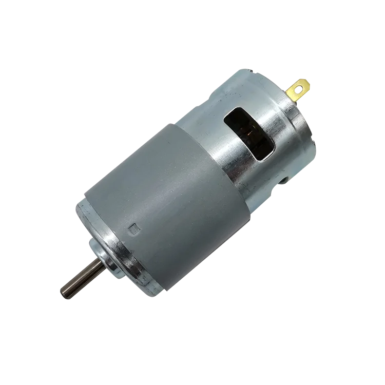 Best Factory Price 795 24v 5-200w Electric Brushed Micro Dc Motor