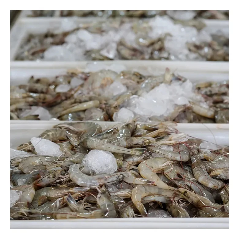 Low Price Supplier Natural Seafood Export Frozen White Ecuador Shrimp