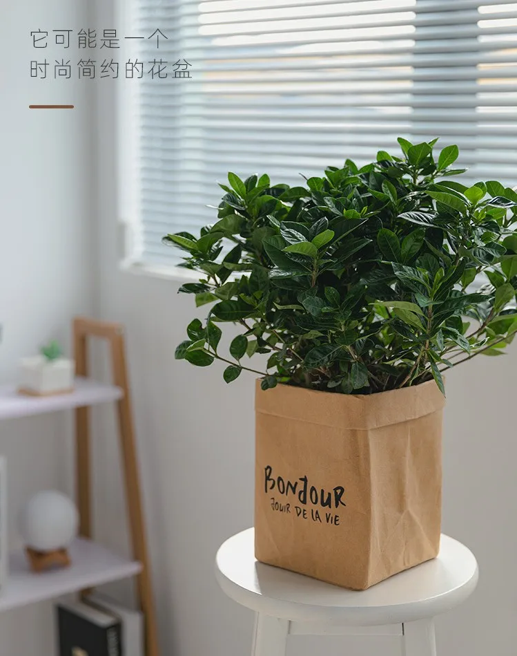 Washable Kraft Paper Bag Reusable Kraft Storage Bags Waterproof Kraft Flower Bag