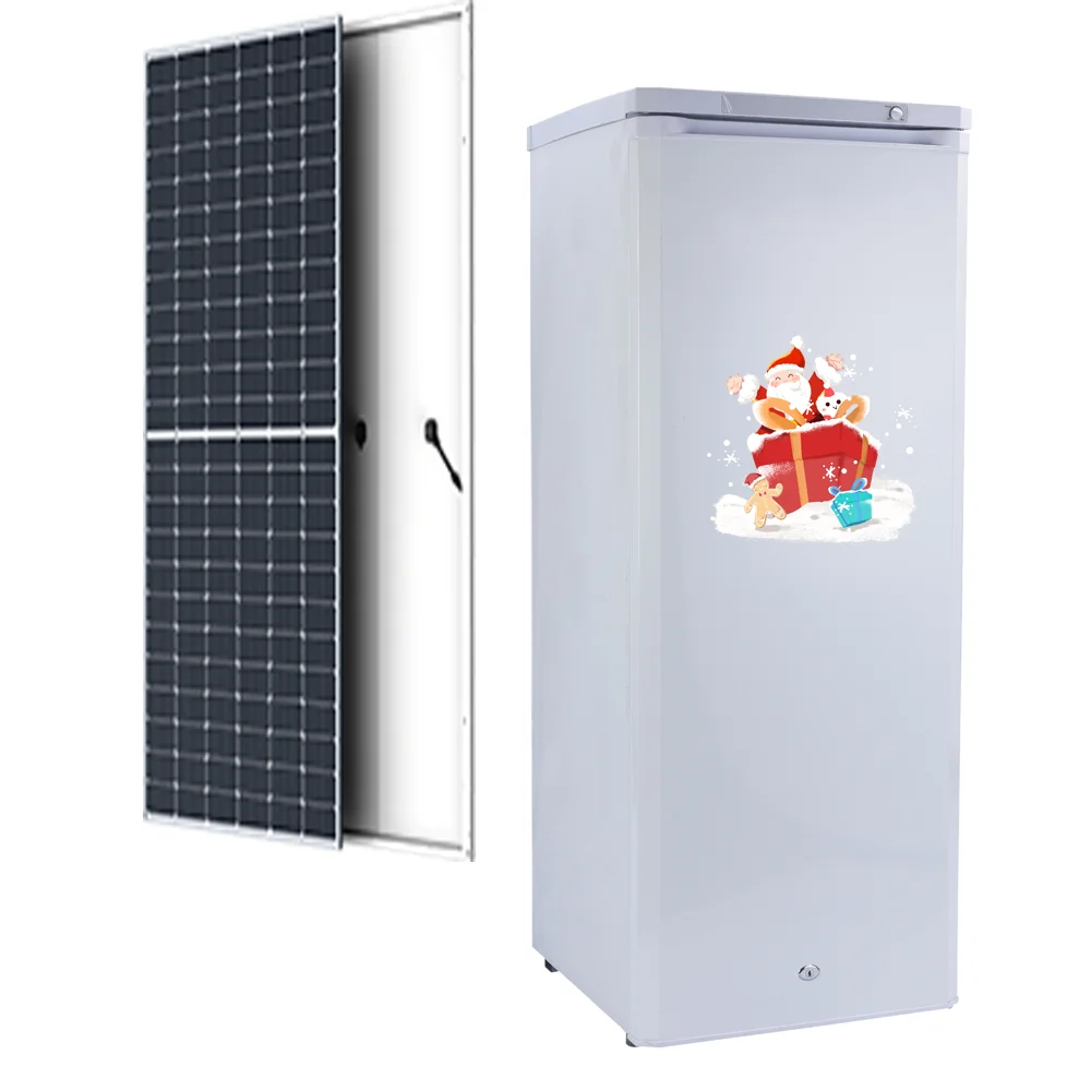 Hot sales high quality  upright ice maker Multi-layer storage 198L single door  solar powered best freezing effect