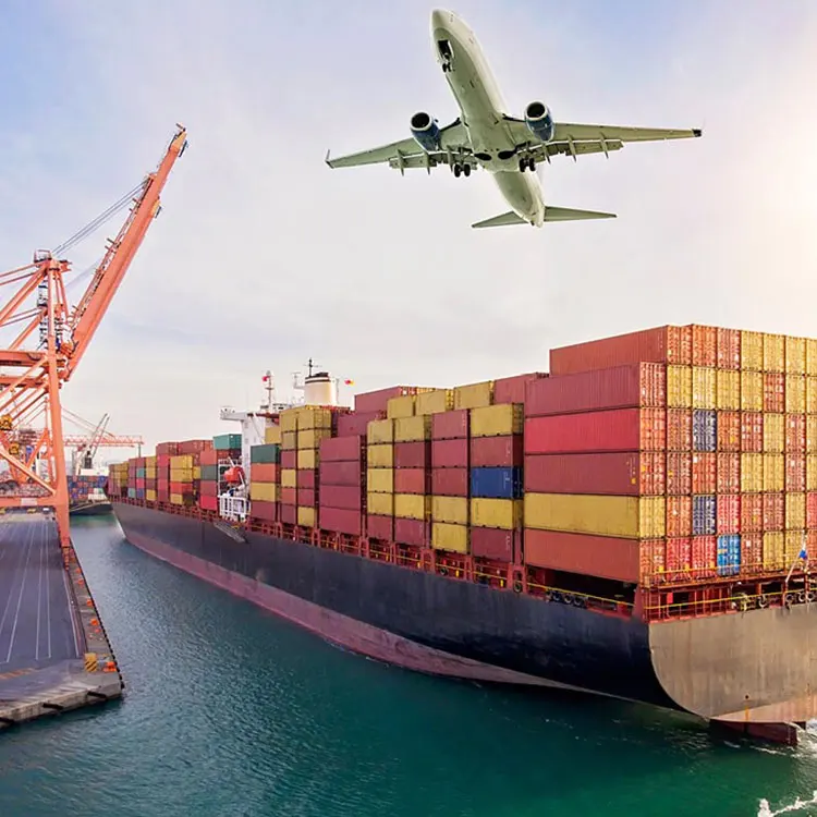 Shipping Agent 1688 Agent China To Uae Warehouse Agents