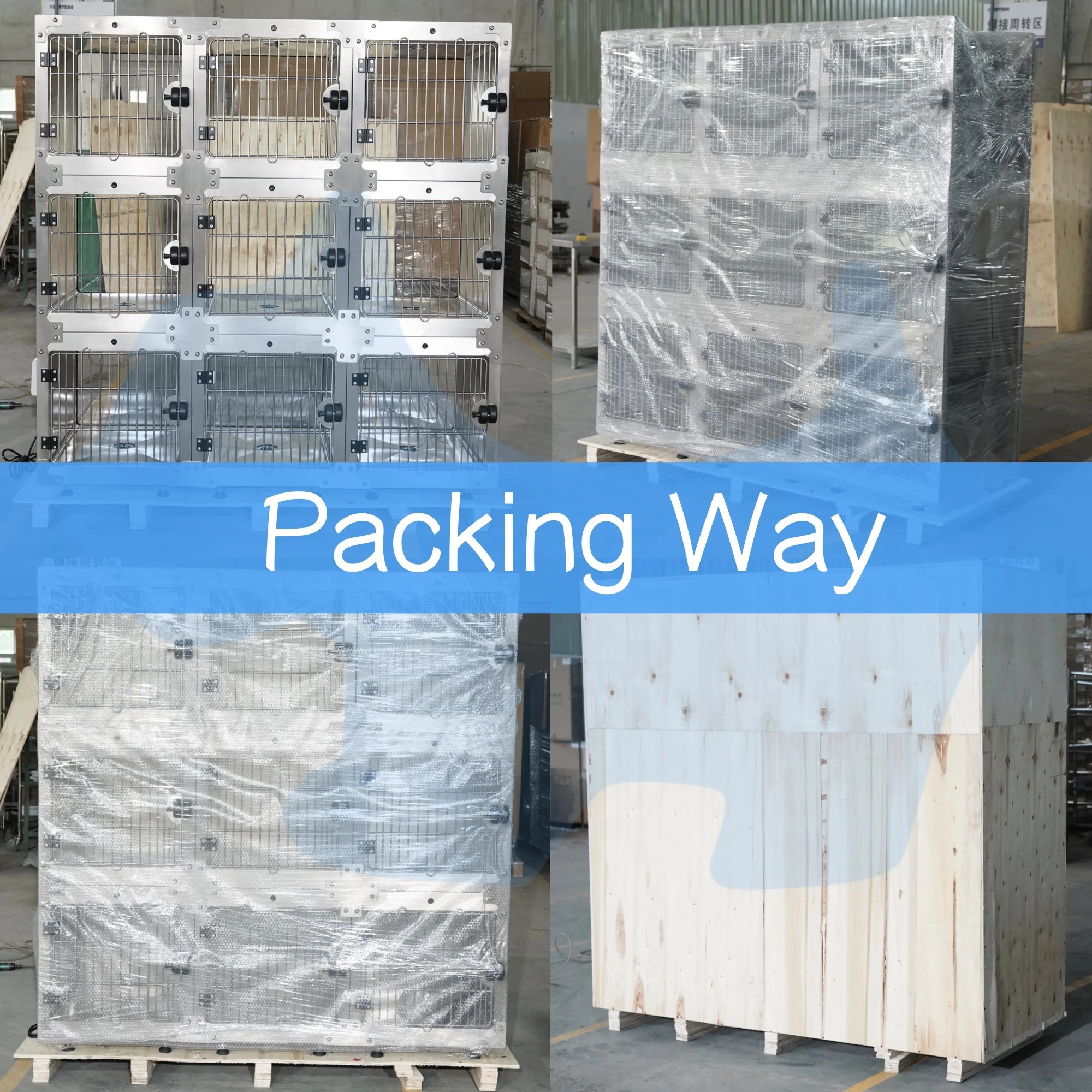 Petsproofing luxury hospital salon High Quality Veterinary Vet Stainless Steel Pet Dog Cat Kennel mesh Cages bank