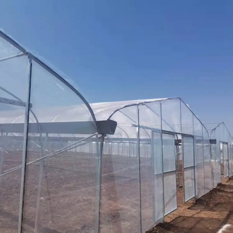 Китайский поставщик оптовая продажа теплица из полиэтиленовой пленки для сельского хозяйства овощей и растений