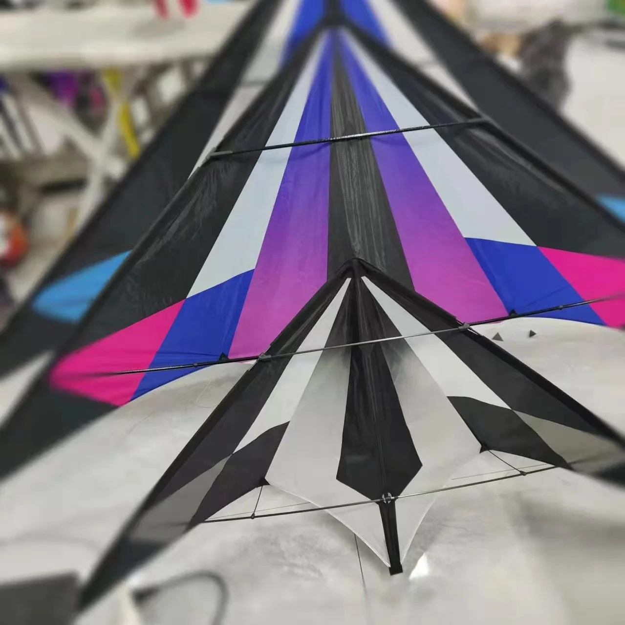 Factory Dual Line Power Kite Sale Sport Flying 2.4m Lanyork Magic Modern Deign Dual Line Stunt Kites