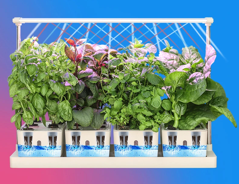 Светодиодная теплица для помещений, умные вертикальные садовые гидропонные системы выращивания