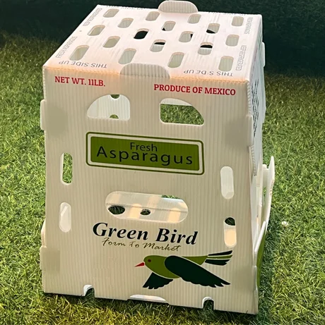 Factory Price Folding Recyclable waterproof Plastic Corrugated PP Polypropylene Environmental Correx Folding Box  packaging