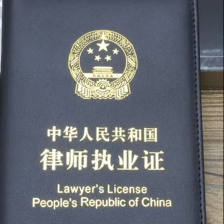 lawyer lawsuit and legal consultant