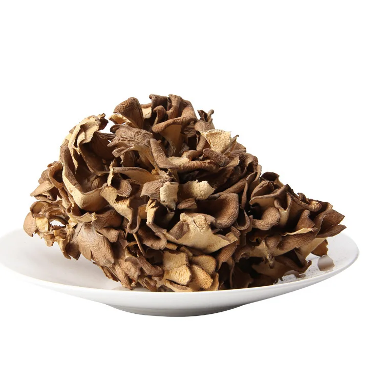 
healthy dried maitake mushroom raw grifola frondosa 1kg bulk price 