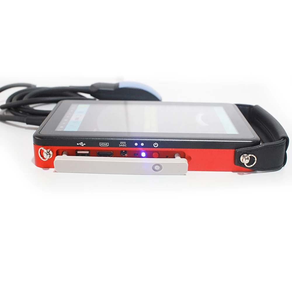 VS-V554 IPX6 Waterproof Electronic Ultrasonic Probe Accurate Detection Lightweight Portable Veterinary Ultrasound Scanner