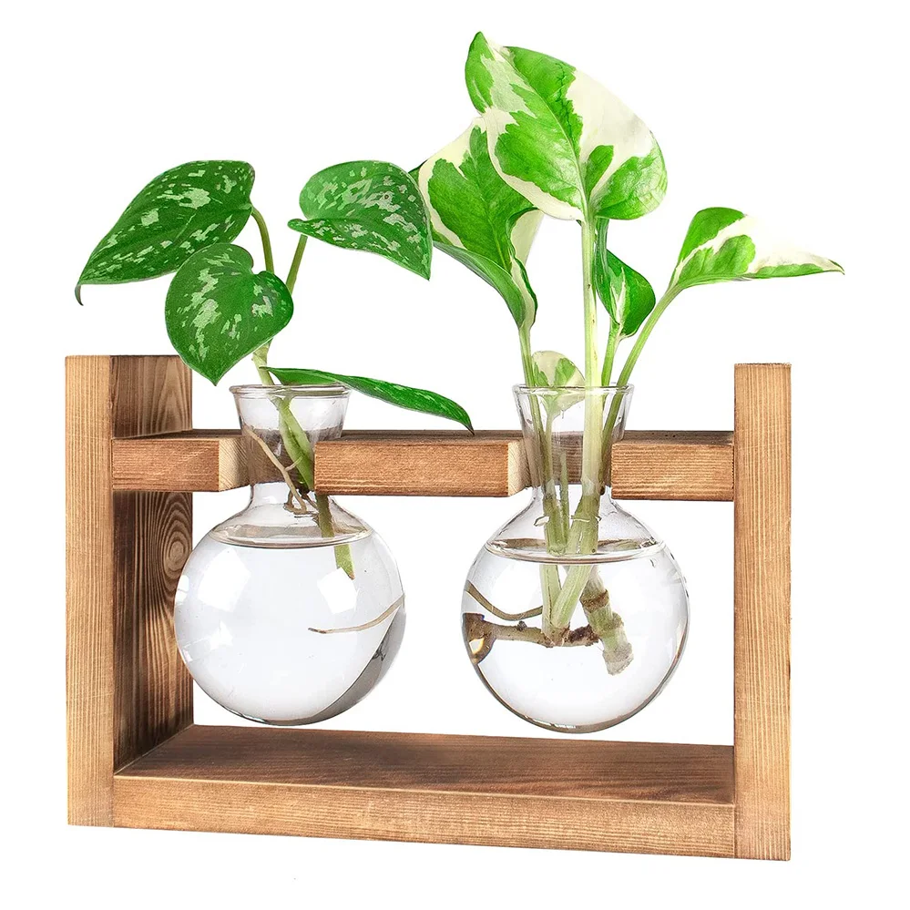 Ваза для цветов, Террариум с деревянной подставкой