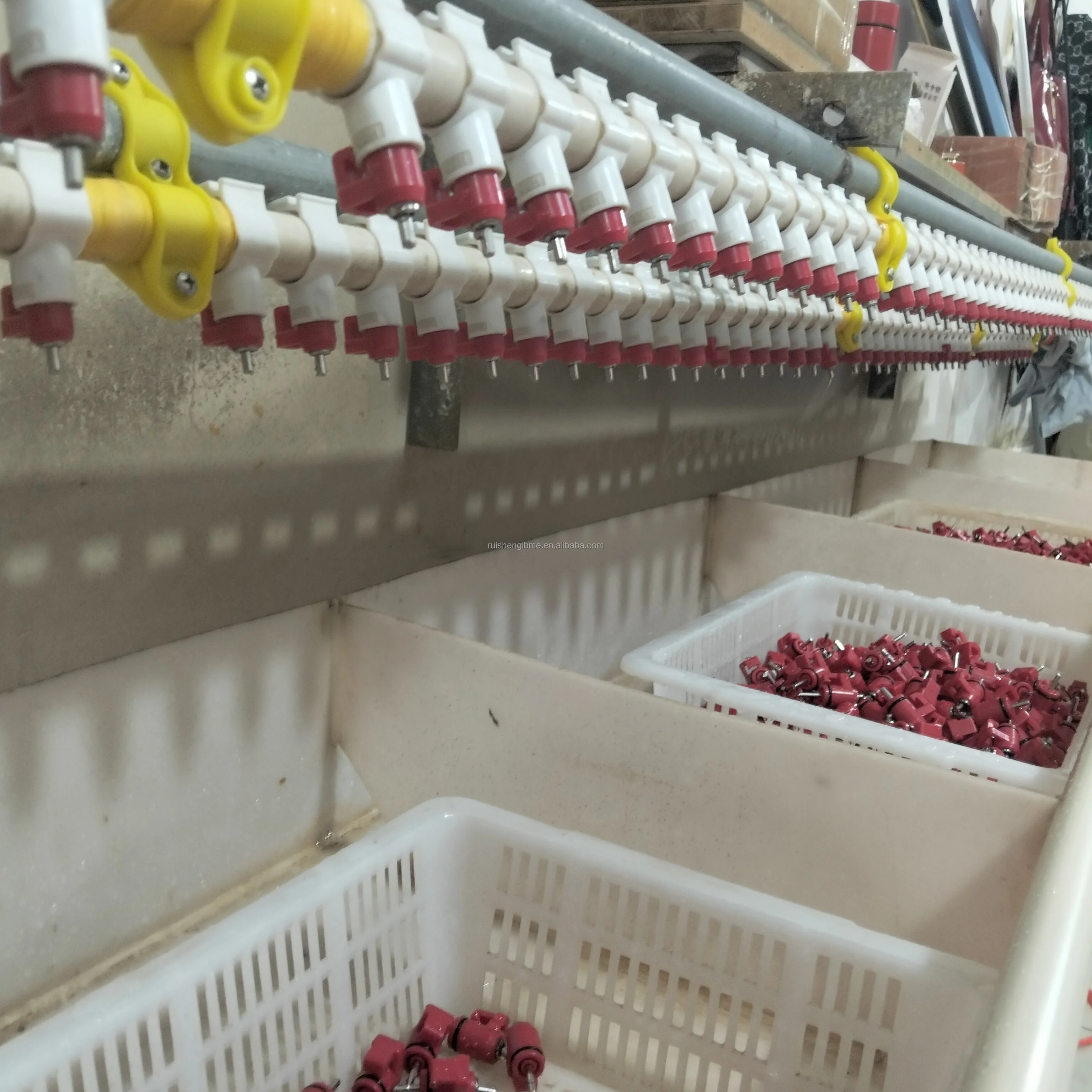 Wholesale Poultry Farming Equipment No Waste Ball Valve Water Plastic Broiler Nipple Chicken Drinker Stainless Steel Core RS-43