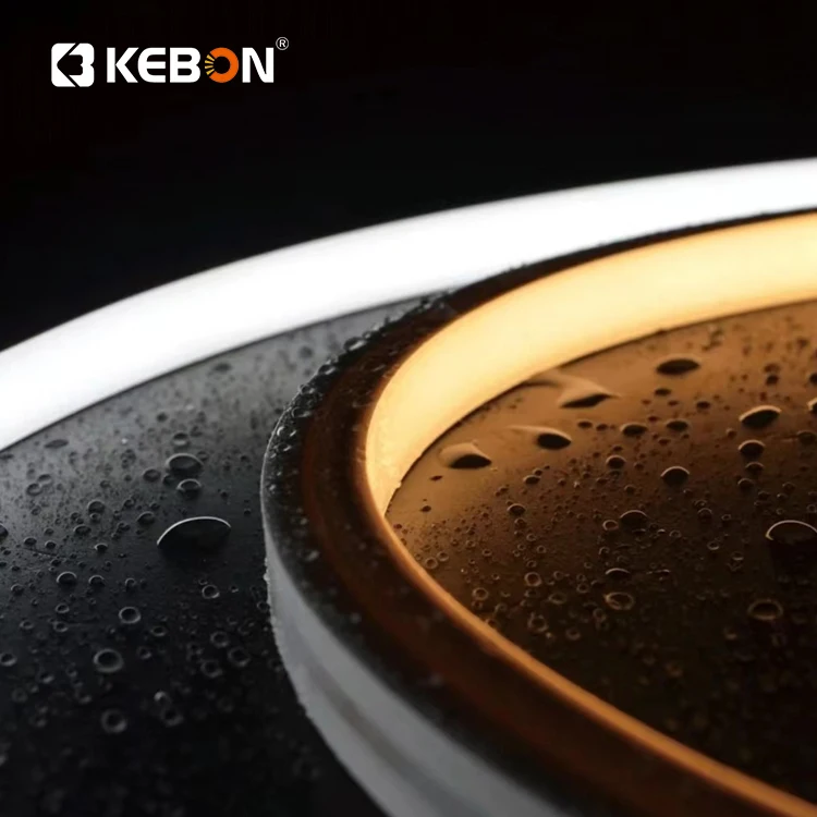 High Density Waterproof Intelligent Control LED Tape Ribbon Light Multi Color SMD2835 Flexible Led Neon Light