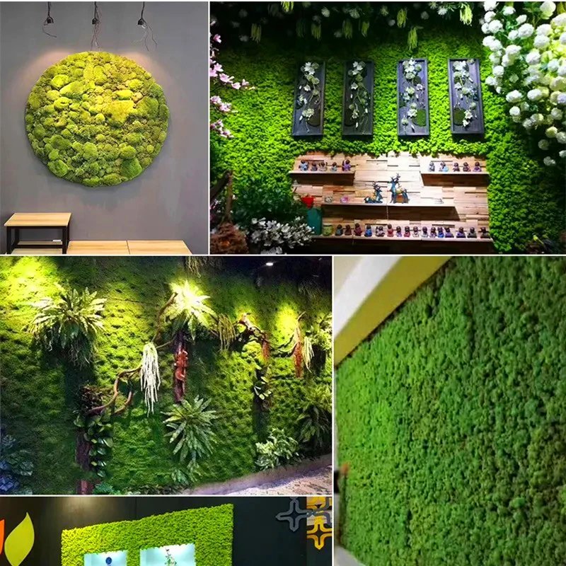 moss grass wall (1).jpg