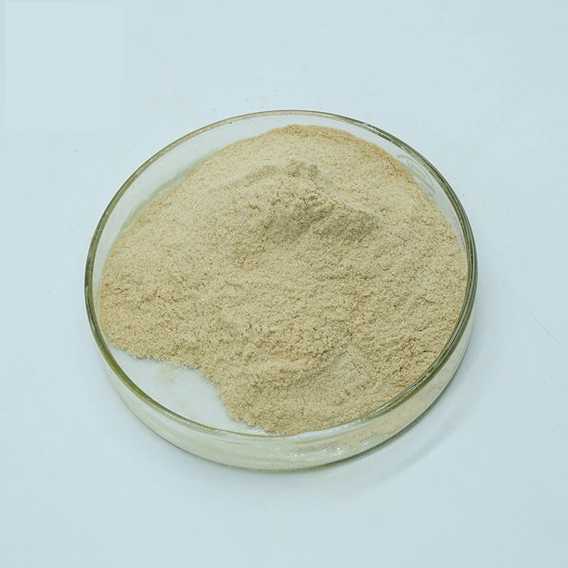Low Price 95% Piperine Piper Black Pepper Extract Powder
