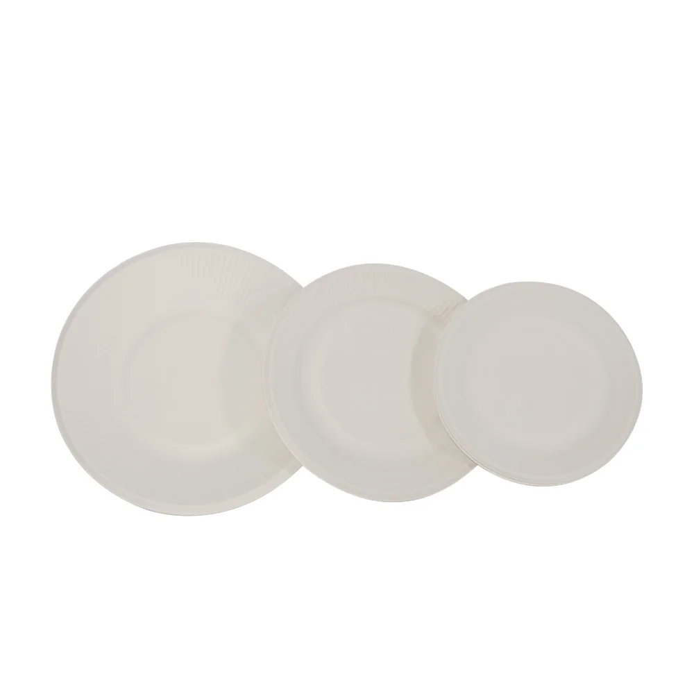 Best selling Sugarcane Pulp paper plate Dish Bagasse Tableware Eco Friendly disposable Biodegradable Bagasse Paper plate