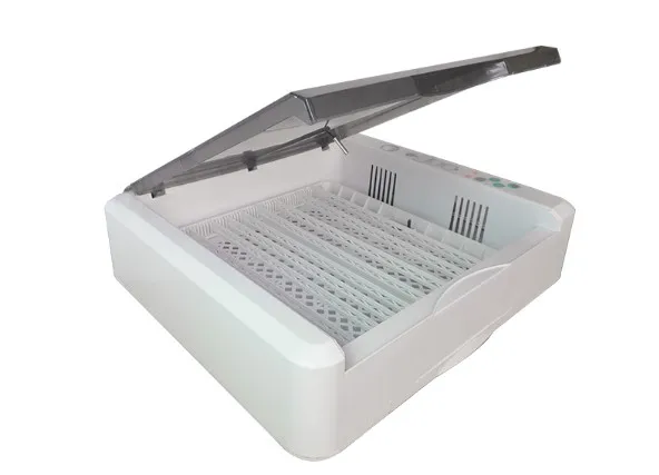 Controller Humidity Incubator Constant Humidity And Temperature Batch 30Eggs Blue Star For Parrot 50 Egg eggs-18S