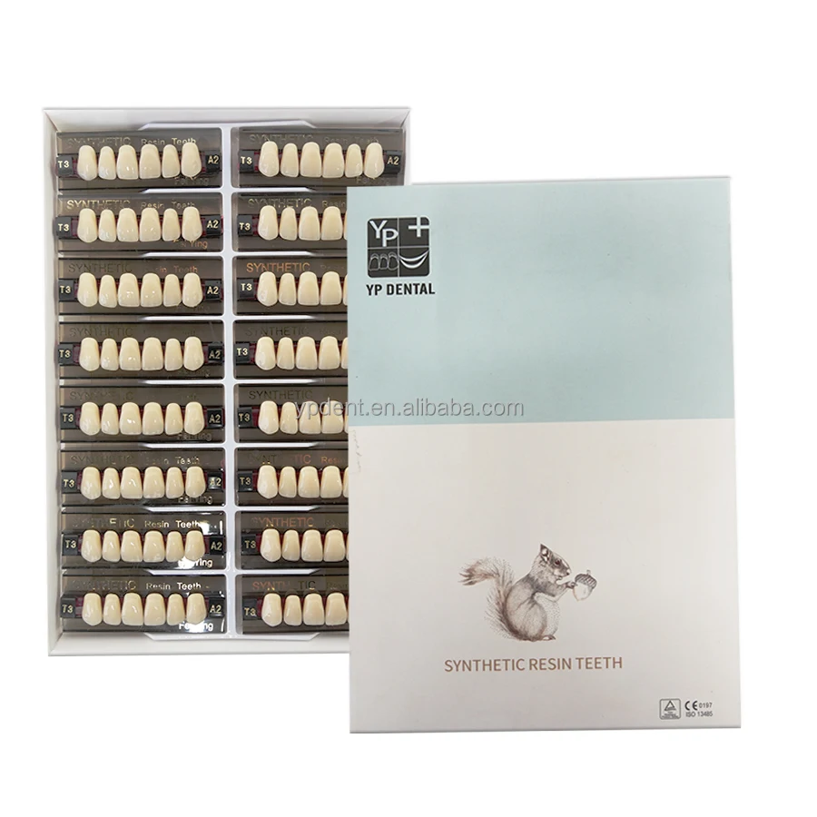 YP 2  Layer Acrylic Resin Teeth Full Set False Teeth Dentures Dental Resin Teeth