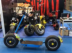 USA popular S5 golf cross country electric scooter high quality 1500w 12AH/20AH UK fashion citycoco with removable battery