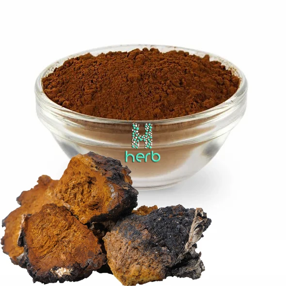 GMP Organic Water Soluble Chaga Mushroom Extract Powder