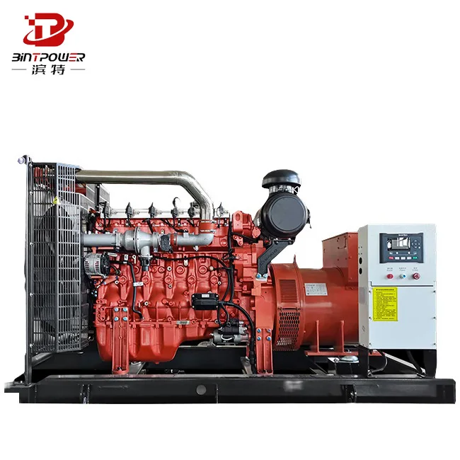 200Kw Natural Gas Generator Set Water-Cooled With High Temperature Resistance Electric Start For Lpg Biogas Turbine Generator