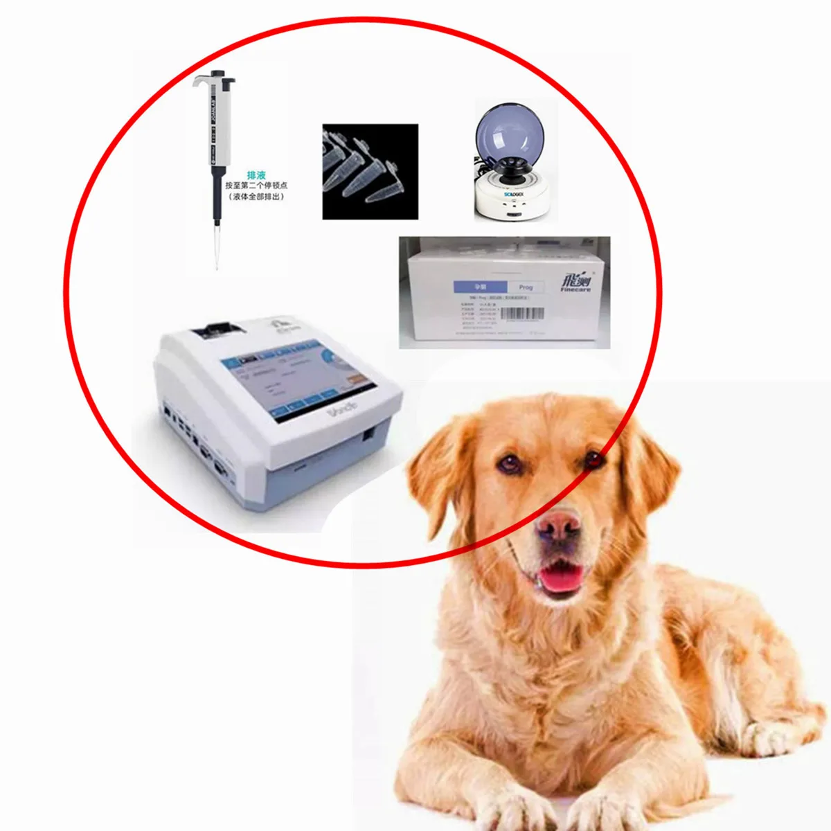 Wondfo FIA Meter Finecare 2 PLUS + blood centrifuge + pipette + tubes + prog tests  whole dog progesterone Test kti