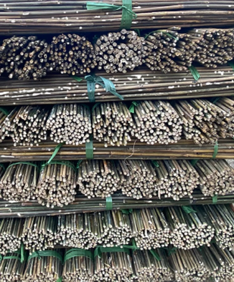 Nature Straight Strong Bamboo Canes Bamboo Poles/raw Bamboo Material/bamboo Canes