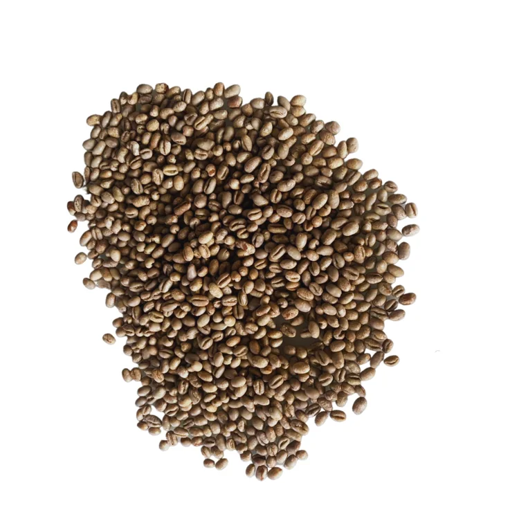 Зеленая фасоль Robusta быстрая доставка бобы из Вьетнама индивидуальная упаковка джутовый мешок от вьетнамского производителя