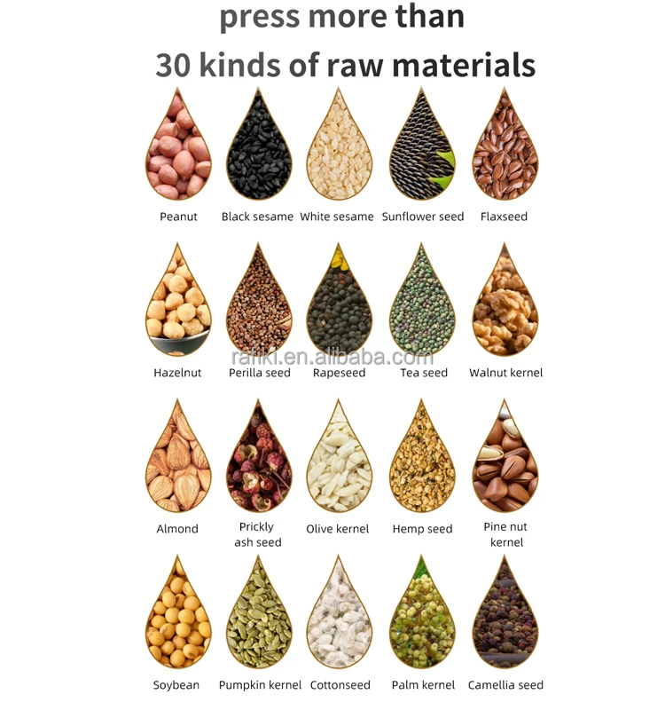 High oil yield portable commercial table use mini automatic peanut oil press machine