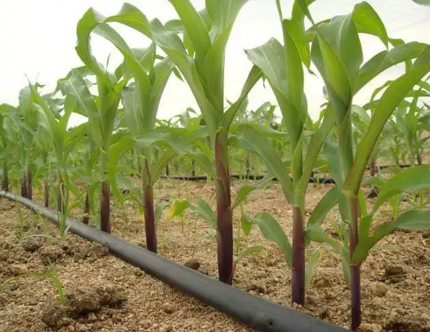 farmland smart agriculture irrigation system water-saving drip irrigation system 1 acre  Irrigation system kit for peach