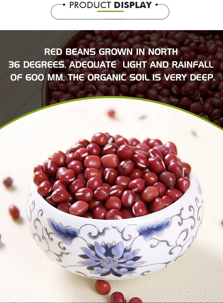 Chinese Small Red Beans adzuki beans azuki bean for sale