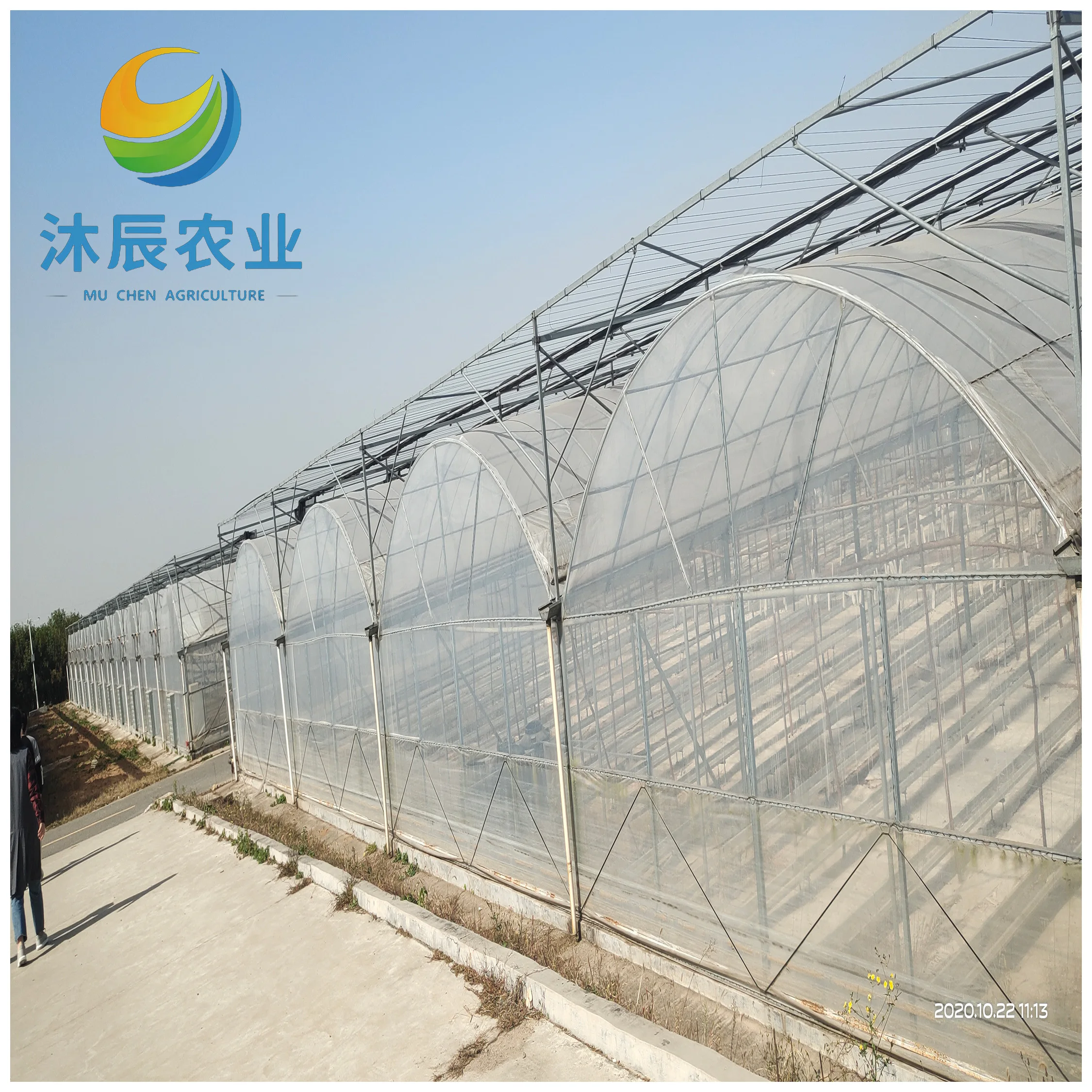 Customized Greenhouse China Factory Outlet Agricultural Greenhouses Multi-span Plastic Film Tunnel Hydroponic Green House