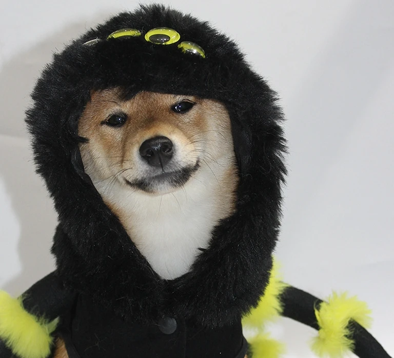 2024 New Christmas Clothes for Dog Pet Spider Transformation Costume Cosplay Dog Halloween Funny Dog Clothing Costumes