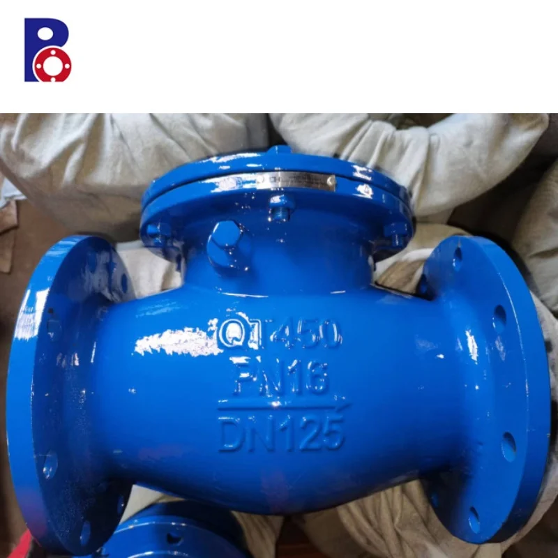 BS standard  DN150 GGG50 body good quality price list valved check swing check valve non return valve