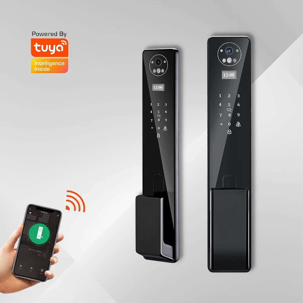 Eseye Popular Security Intelligent Remote Control Fingerprint Recognition External Door Electronic Lock Tuya Smart Face Lock