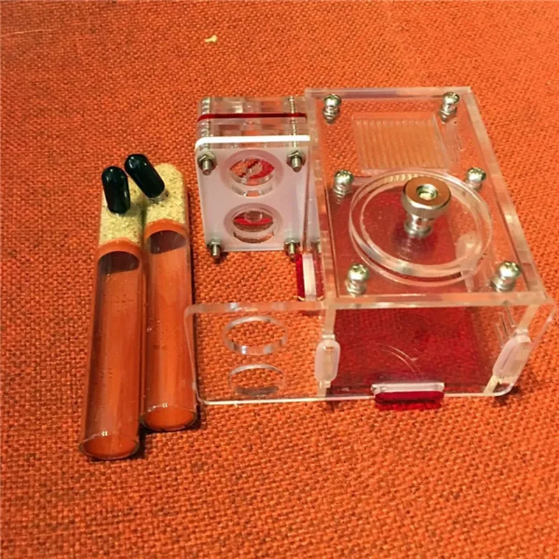 Luxury Simple Tube Ant Nest Transparent Ant House for Kids Home Pet Use Kids Scientific Device DIY Toy Ant Farm Villa Anthills