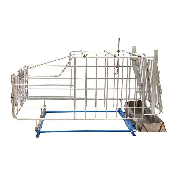 Manufacturer Supply Cheap Pig Pen Solid Rod Gestation Stall For Sale