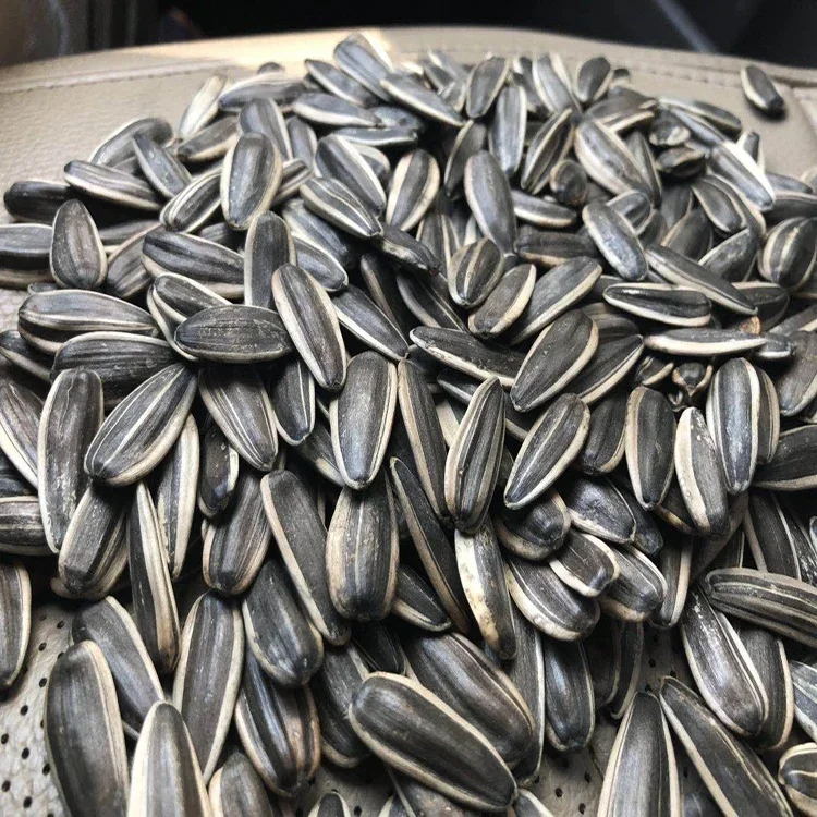 Delicious bulk sunflower seeds high quality organic hot sell delicious all kinds of sunflower seeds