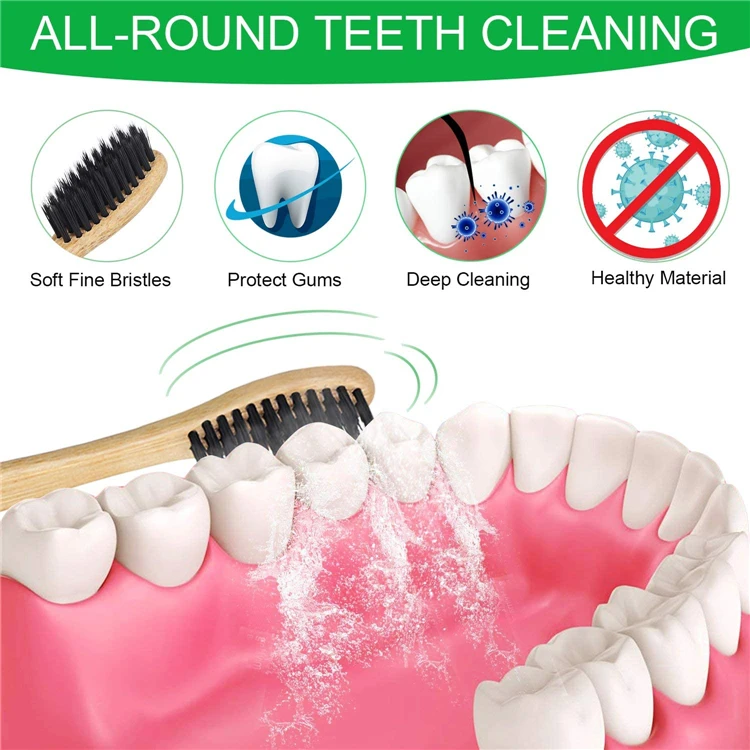 Free Sample Custom Logo Color Wholesale Natural Home Use Eco-Friendly Biodegradable Nylon Tooth Brush Toothbrush